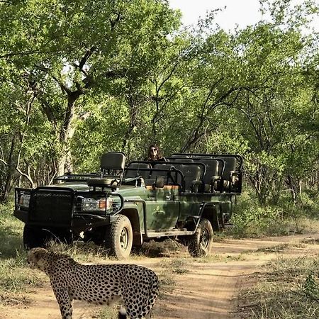 Karongwe Portfolio- Shiduli Private Game Lodge Karongwe Game Reserve Eksteriør billede