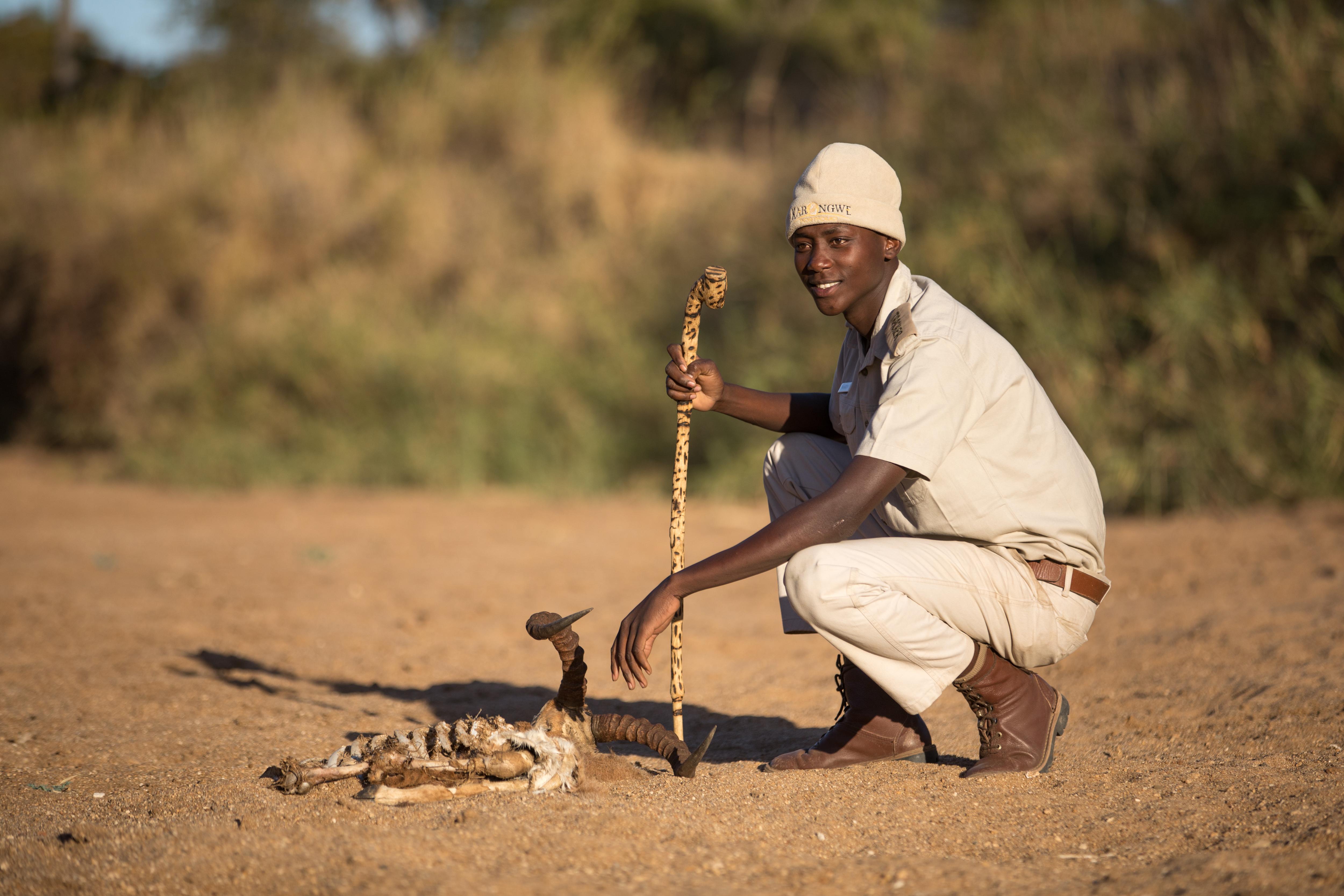 Karongwe Portfolio- Shiduli Private Game Lodge Karongwe Game Reserve Eksteriør billede