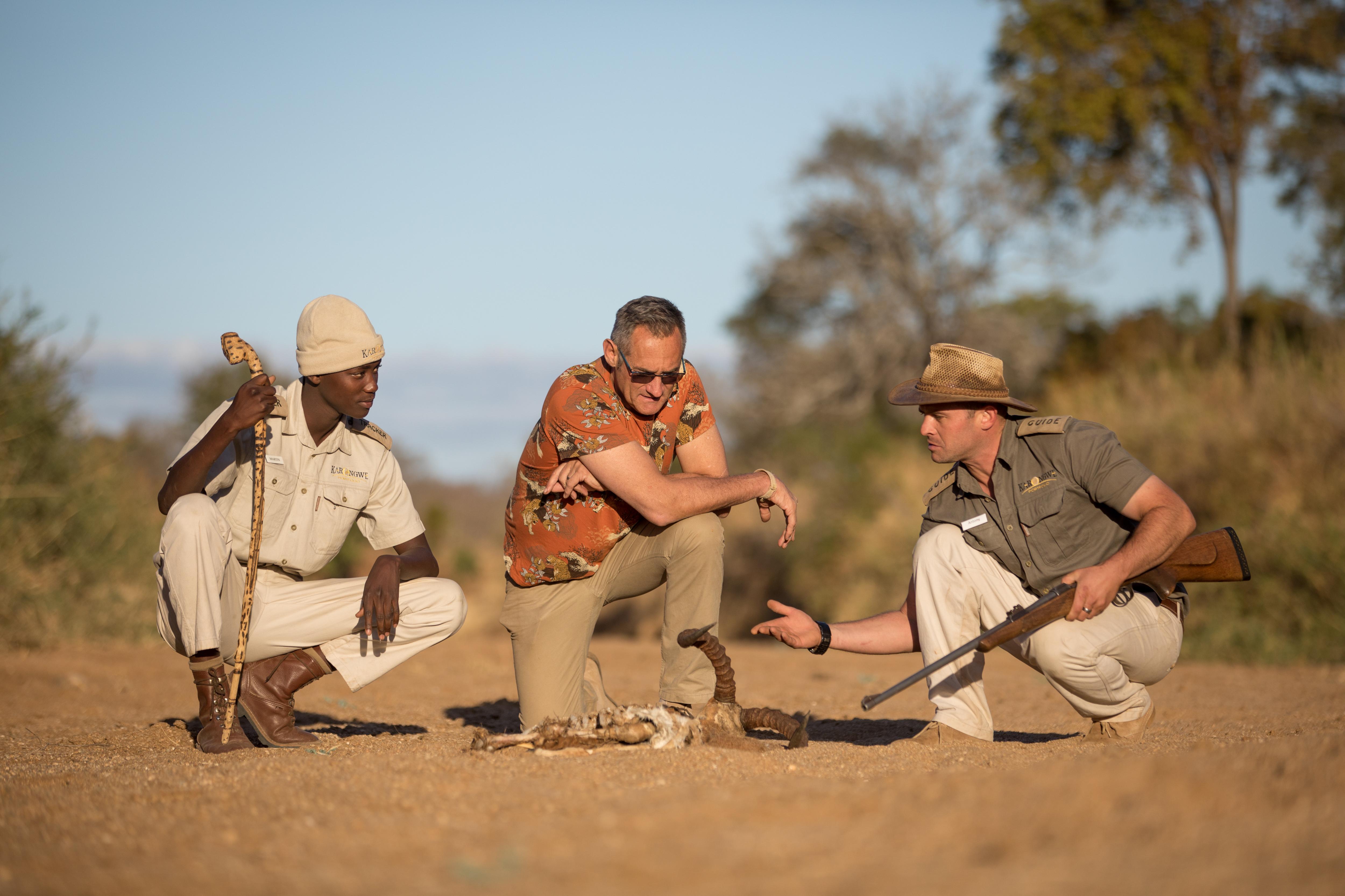 Karongwe Portfolio- Shiduli Private Game Lodge Karongwe Game Reserve Eksteriør billede