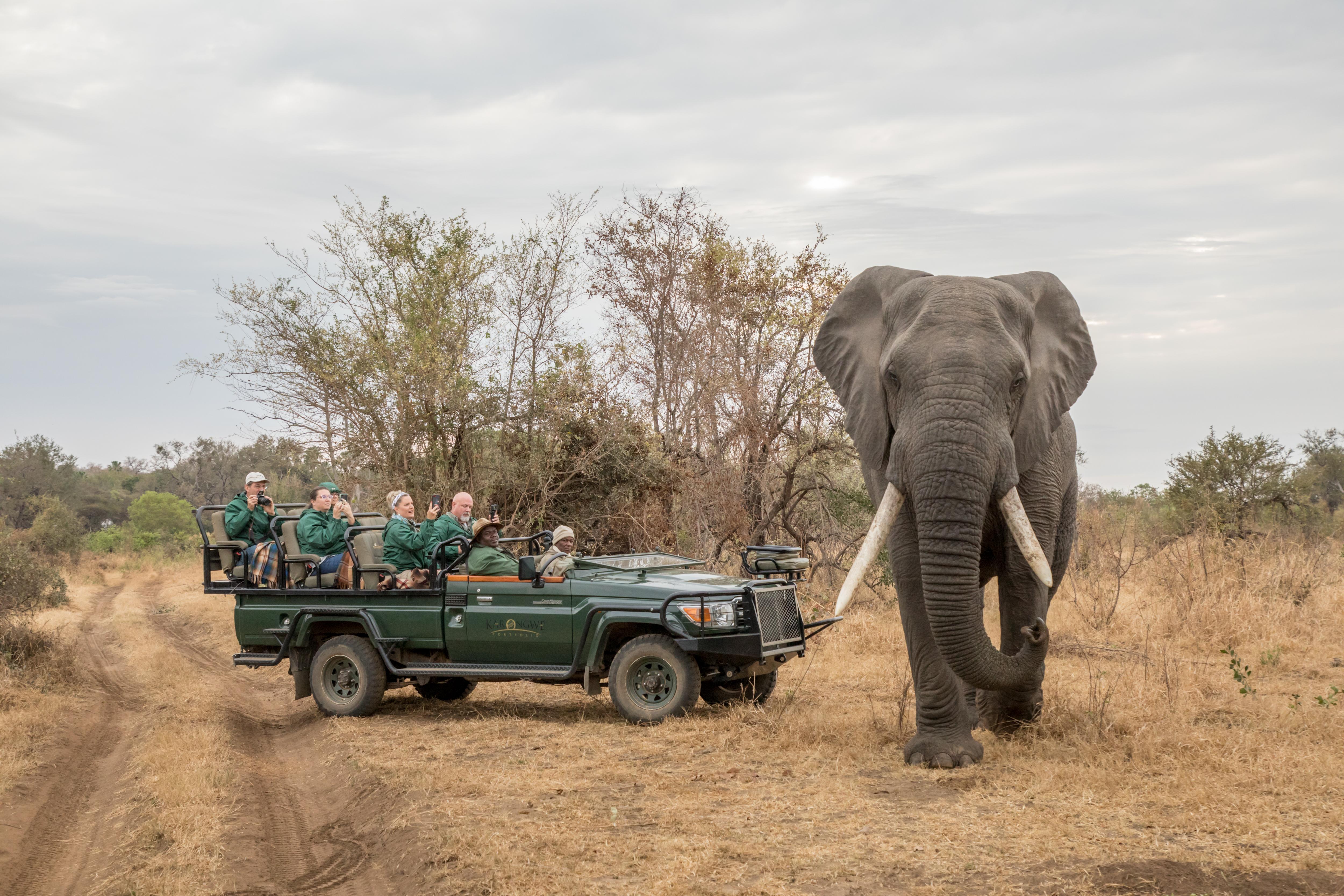 Karongwe Portfolio- Shiduli Private Game Lodge Karongwe Game Reserve Eksteriør billede