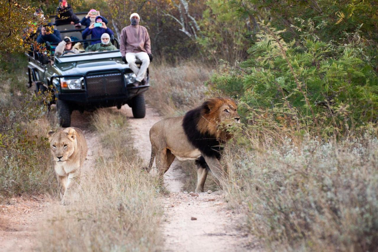 Karongwe Portfolio- Shiduli Private Game Lodge Karongwe Game Reserve Eksteriør billede