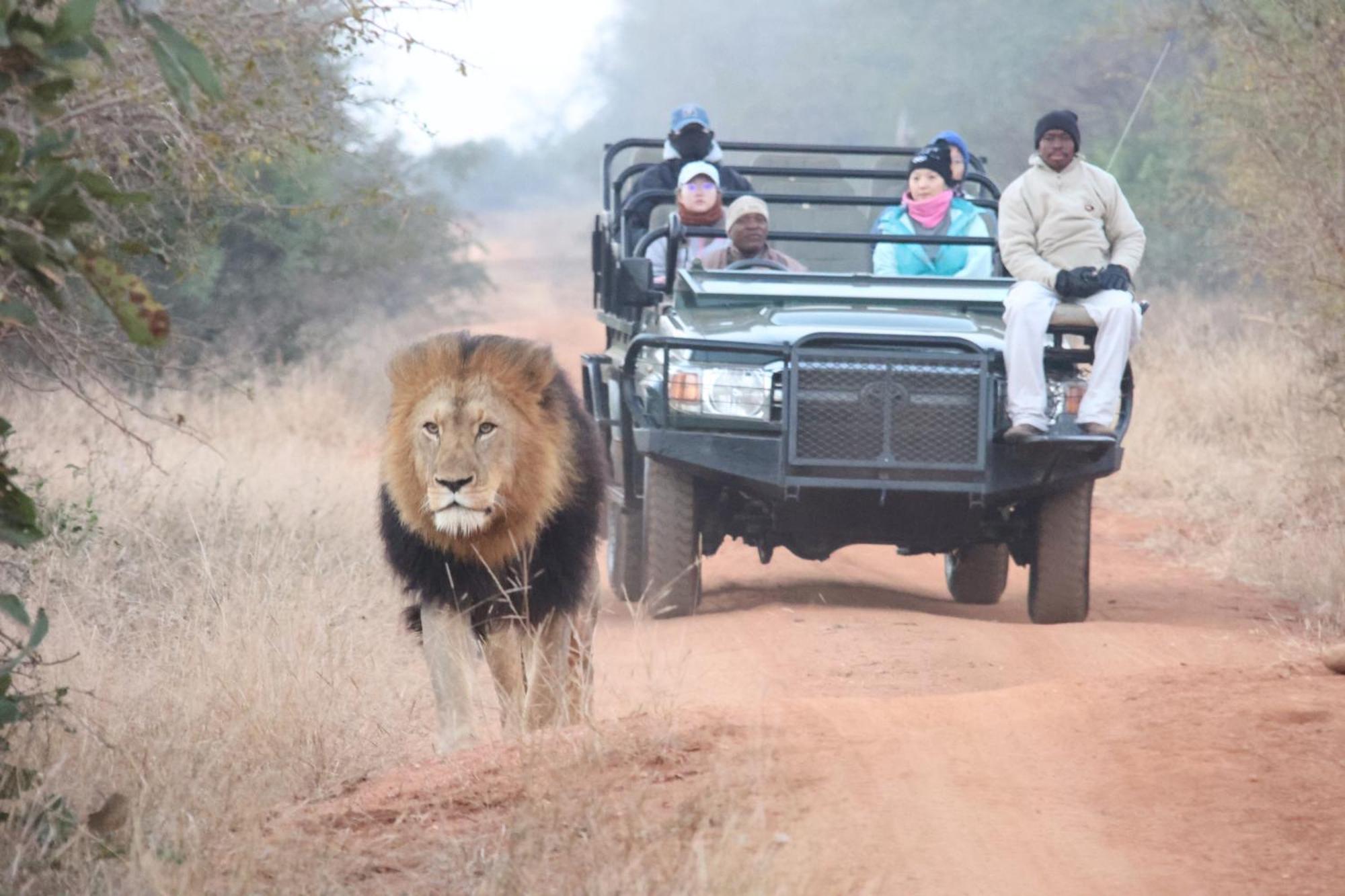 Karongwe Portfolio- Shiduli Private Game Lodge Karongwe Game Reserve Eksteriør billede